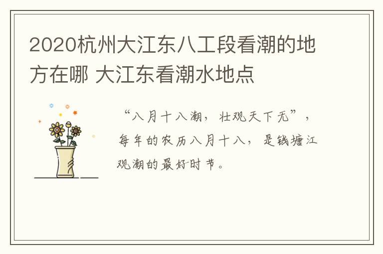 2020杭州大江东八工段看潮的地方在哪 大江东看潮水地点
