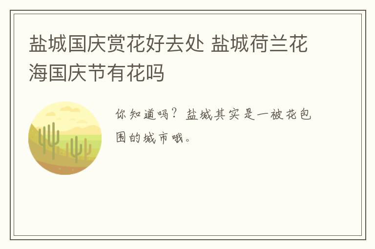 盐城国庆赏花好去处 盐城荷兰花海国庆节有花吗
