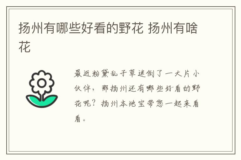 扬州有哪些好看的野花 扬州有啥花