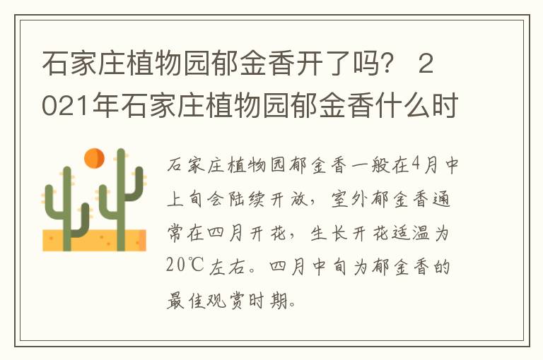 石家庄植物园郁金香开了吗？ 2021年石家庄植物园郁金香什么时候开