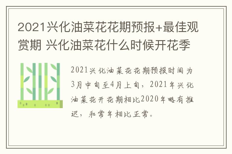 2021兴化油菜花花期预报+最佳观赏期 兴化油菜花什么时候开花季节