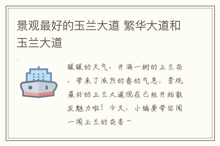 景观最好的玉兰大道 繁华大道和玉兰大道