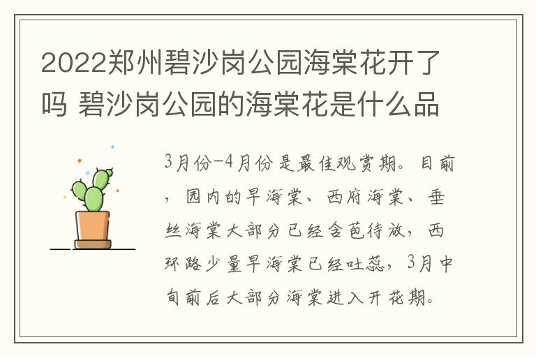 2022郑州碧沙岗公园海棠花开了吗 碧沙岗公园的海棠花是什么品种