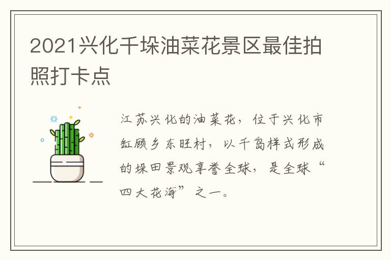 2021兴化千垛油菜花景区最佳拍照打卡点