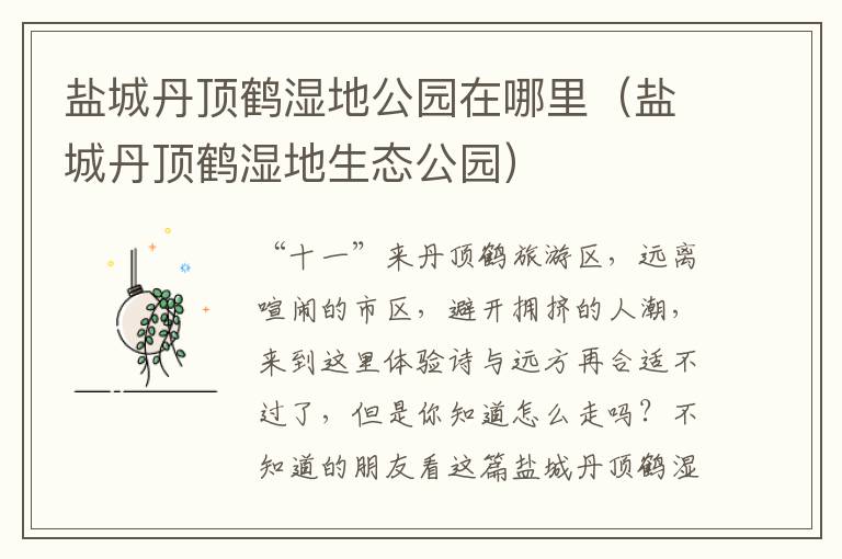 盐城丹顶鹤湿地公园在哪里（盐城丹顶鹤湿地生态公园）