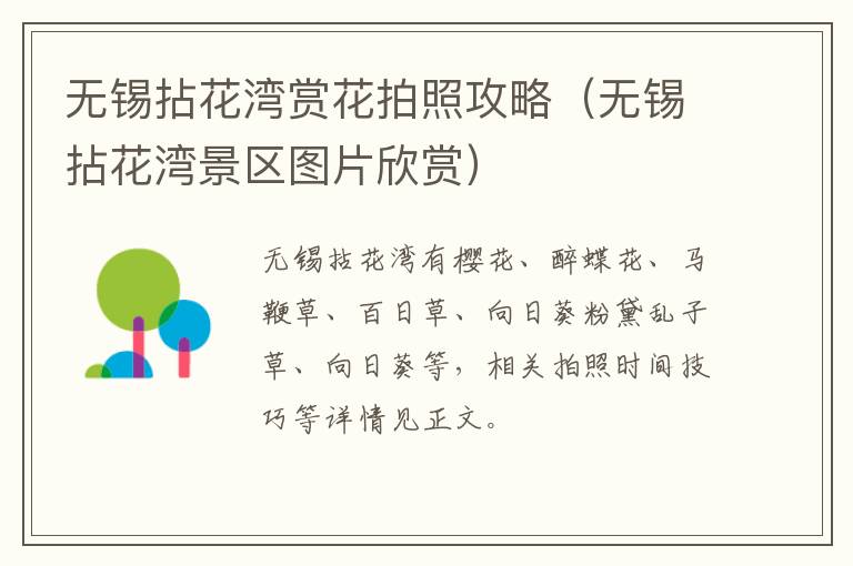 无锡拈花湾赏花拍照攻略（无锡拈花湾景区图片欣赏）