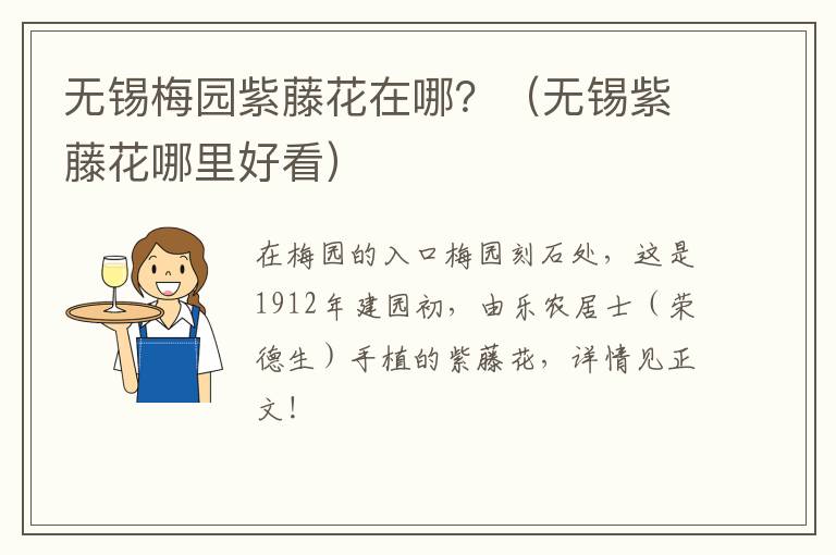 无锡梅园紫藤花在哪？（无锡紫藤花哪里好看）